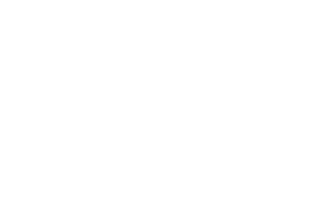 Dm_Logo