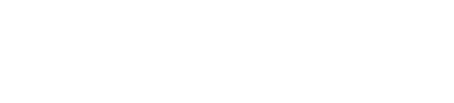 HOLINGER_Logo_theartof_CMYK_NP