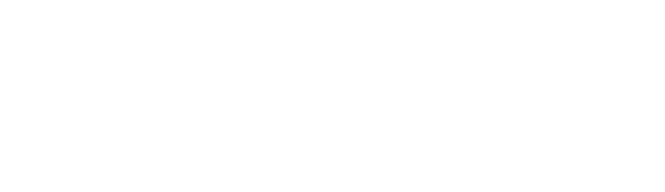 vsw-logo